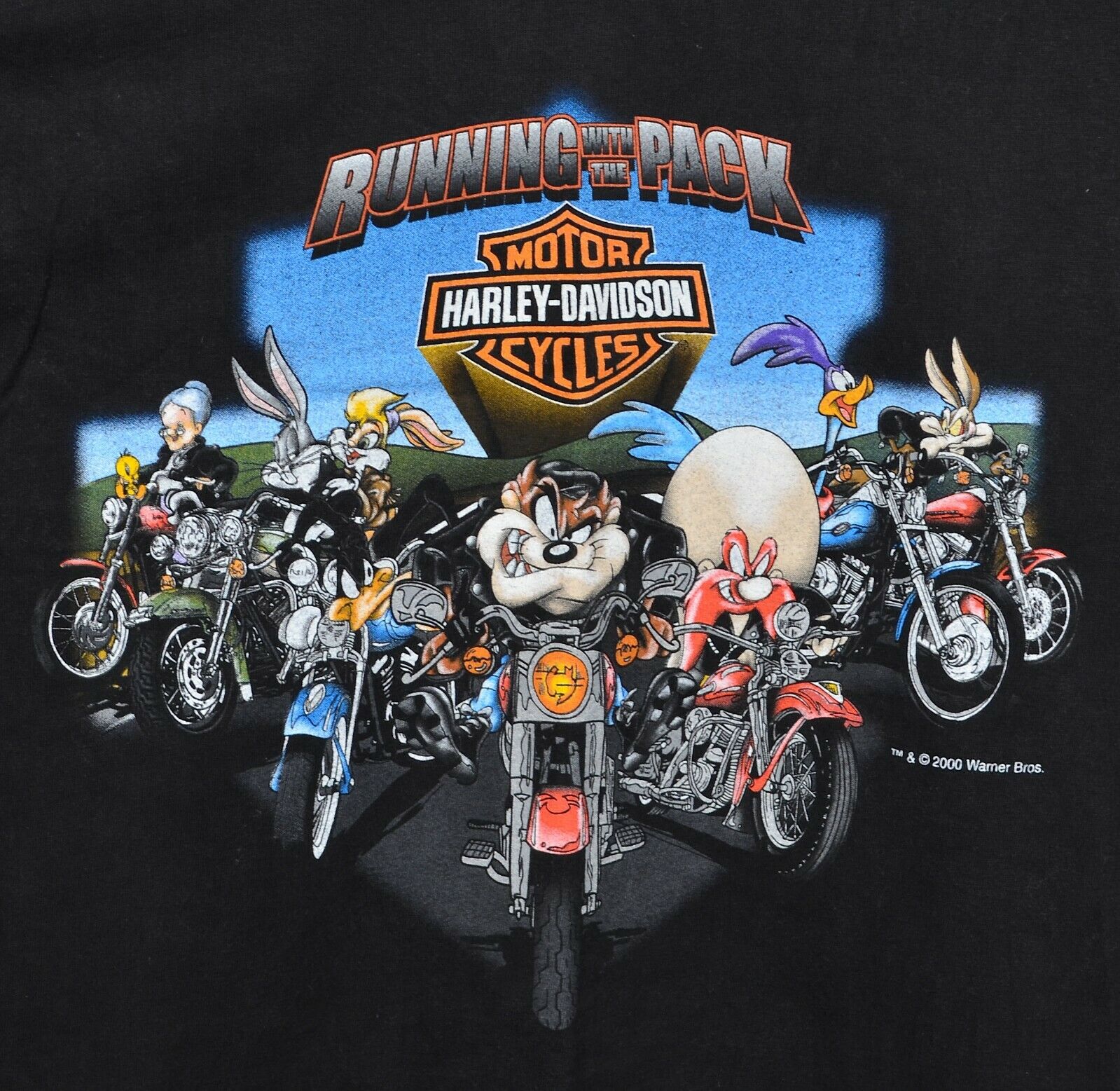 Harley-Davidson, Shirts, Harleydavidson Looney Tunes Hockey Jersey