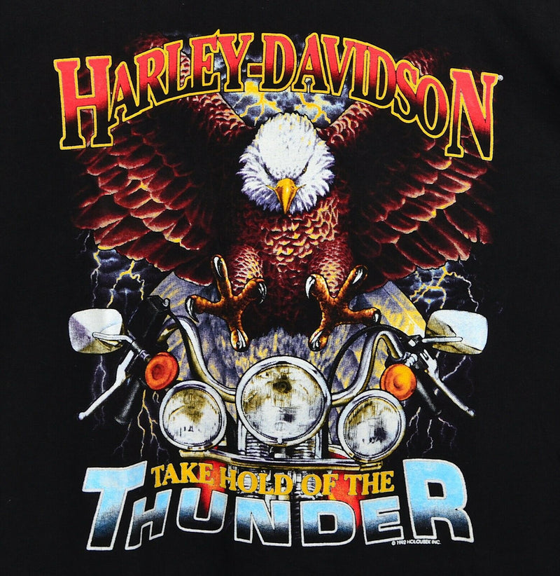 Harley-Davidson Men's Large Take Hold of the Thunder Eagle Vintage 90s T-Shirt