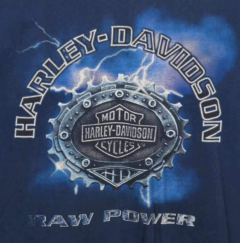 Vintage 90s Harley-Davidson Men's Large Raw Power Blue Lightning Engine T-Shirt