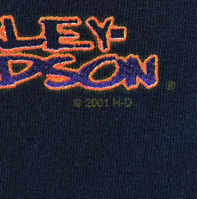 Vintage Y2K Harley-Davidson Men's Large? Flames Tie Dye Long Sleeve T-Shirt