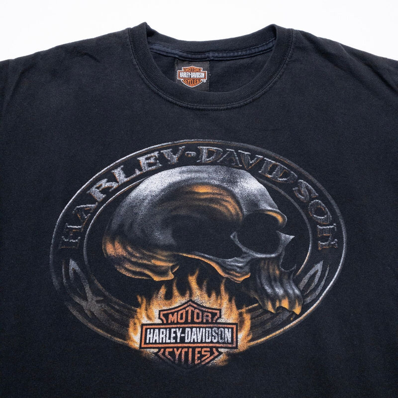 Harley-Davidson Skull T-Shirt Men's Large Flames Black Double-Sided Vintage Y2K