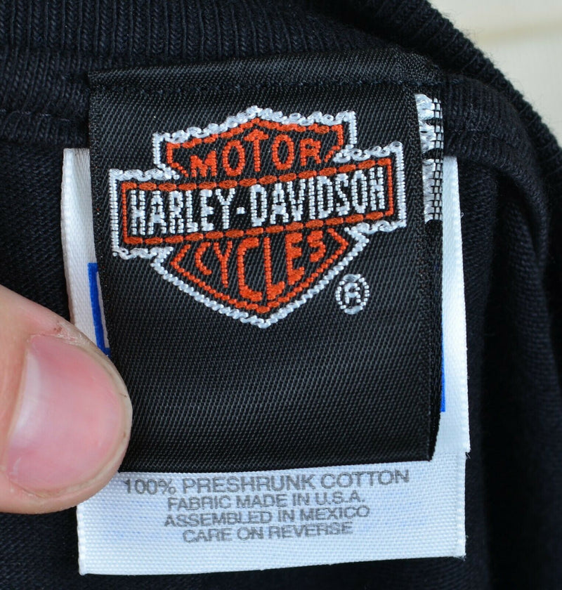 Vintage 90s Harley-Davidson Men's Large 95th Anniversary Willie G Black T-Shirt