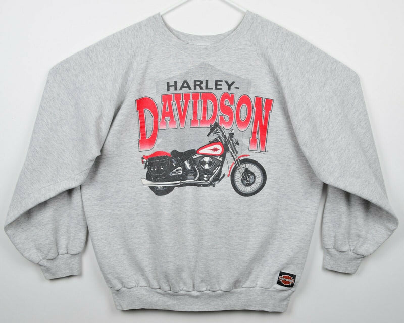 Vintage 1991 Harley-Davidson Men's XL? Gray Biker Double-Sided Sweatshirt