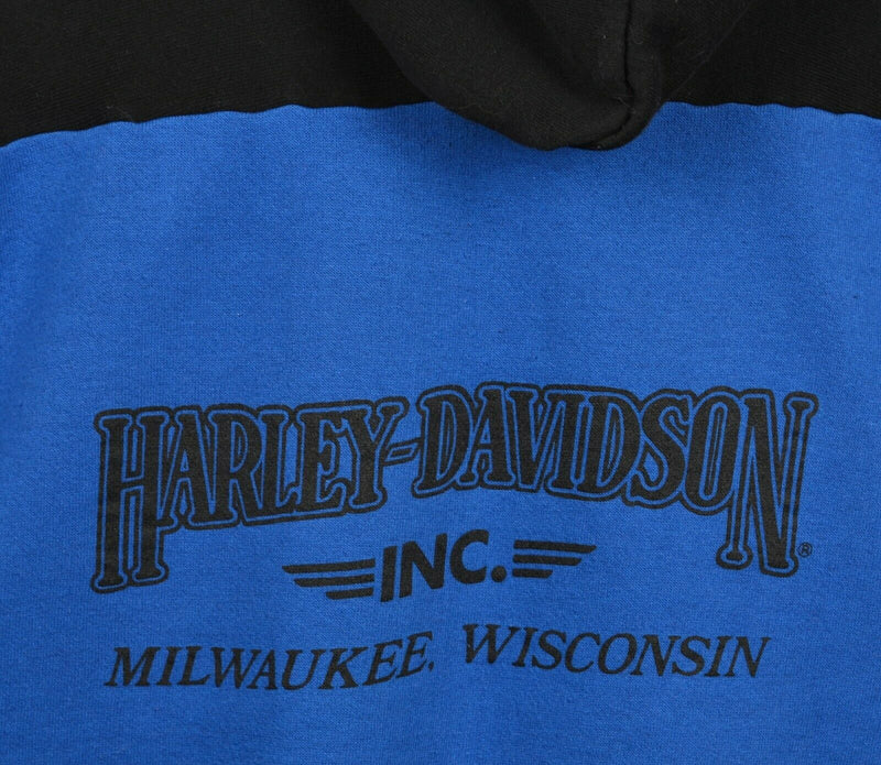 Vintage 90s Harley-Davidson Men's 2XL Blue Black Stripe Eagle Hoodie Sweatshirt